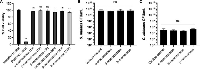 FIG 7