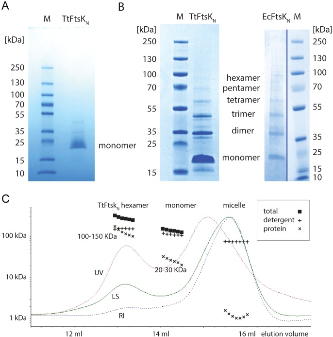 FIG 3 