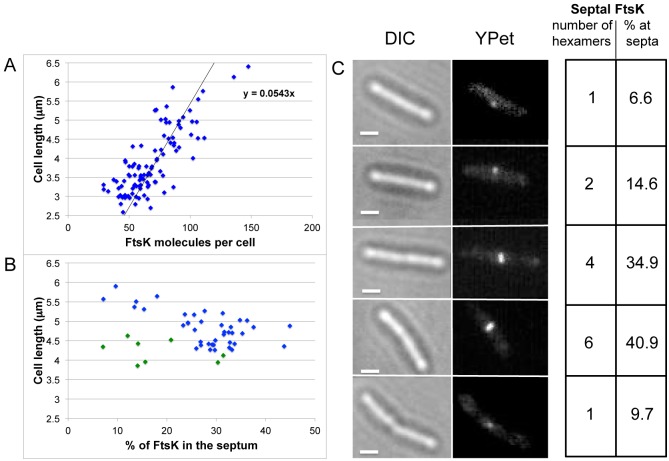 FIG 4 