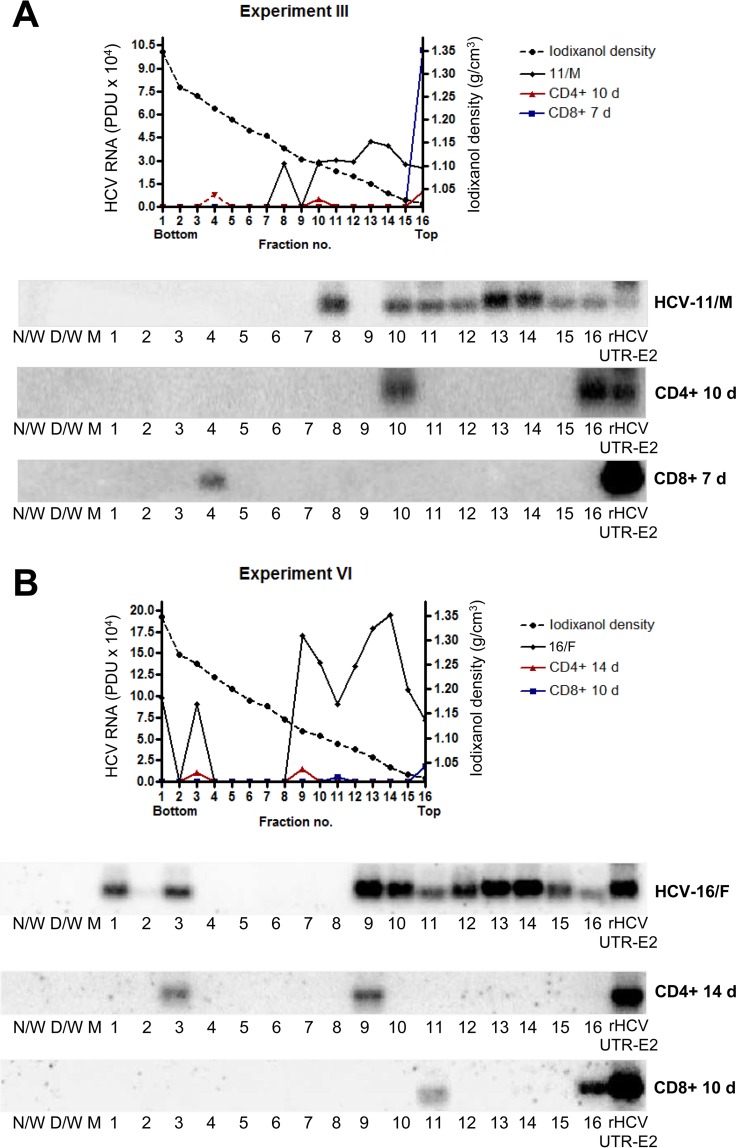 FIG 6