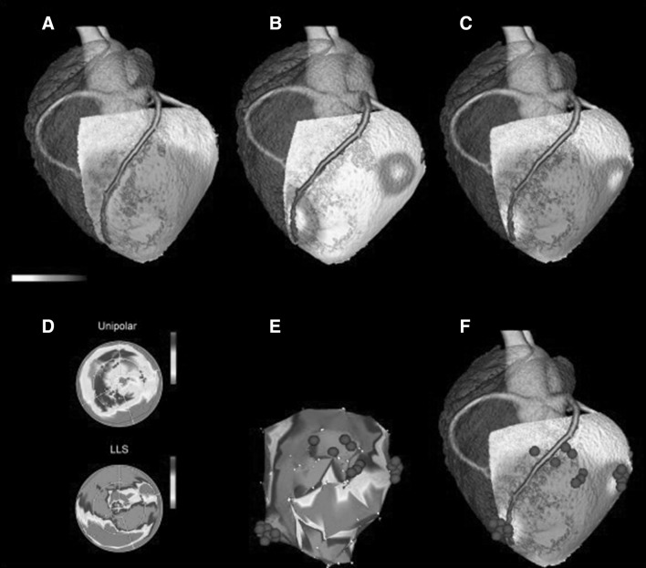 Fig. 1