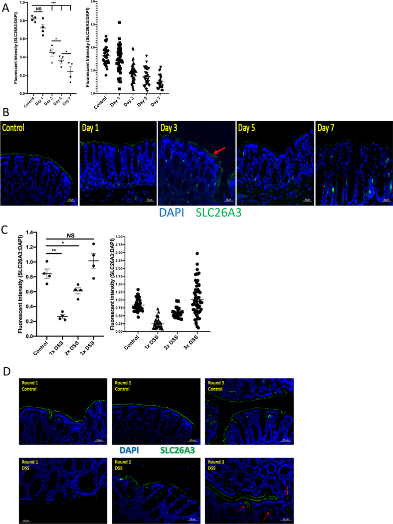 Figure 6: