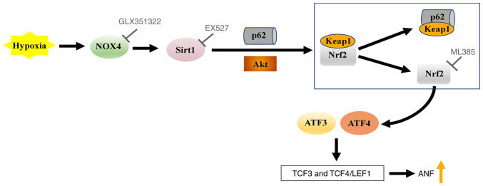 Figure 7.