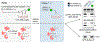 Extended Data Fig. 3