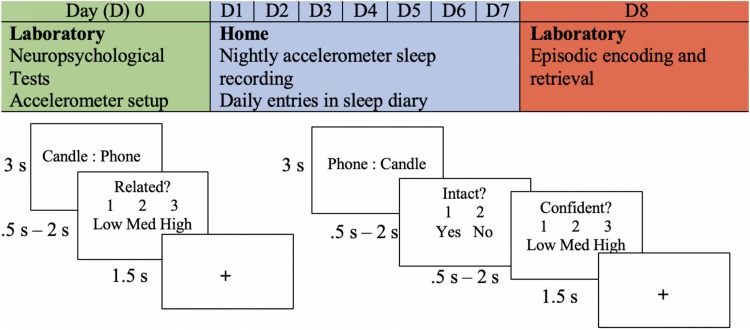 FIGURE 1