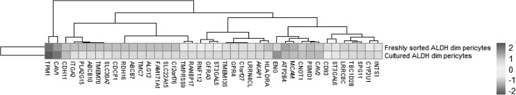 FIG. 4.