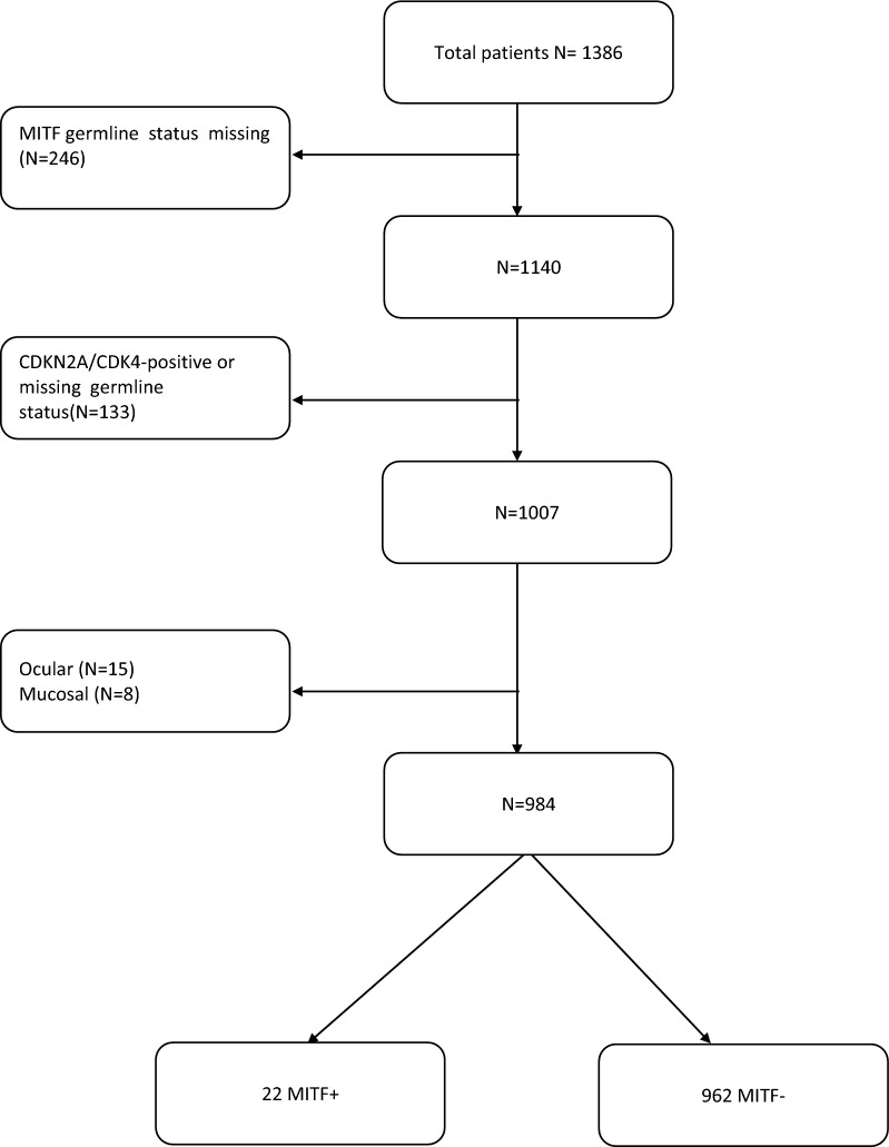 Fig. 1