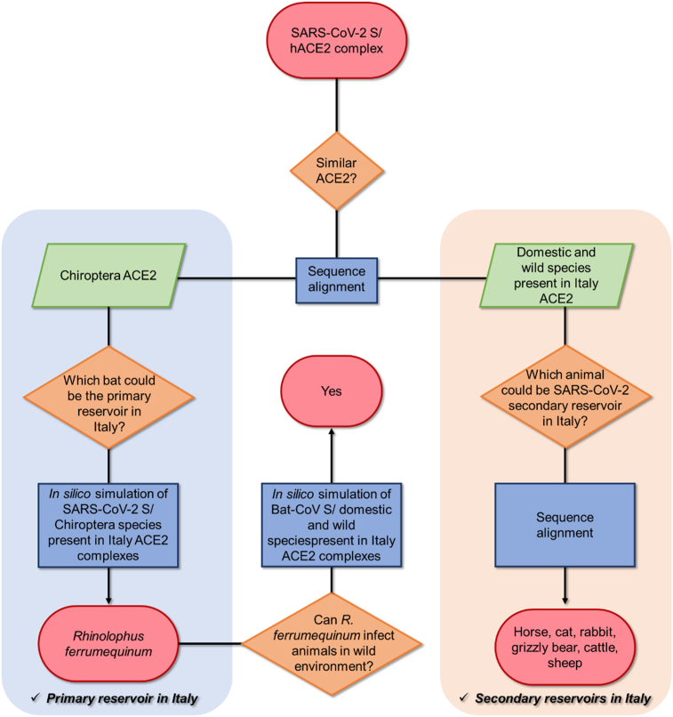 Figure 1