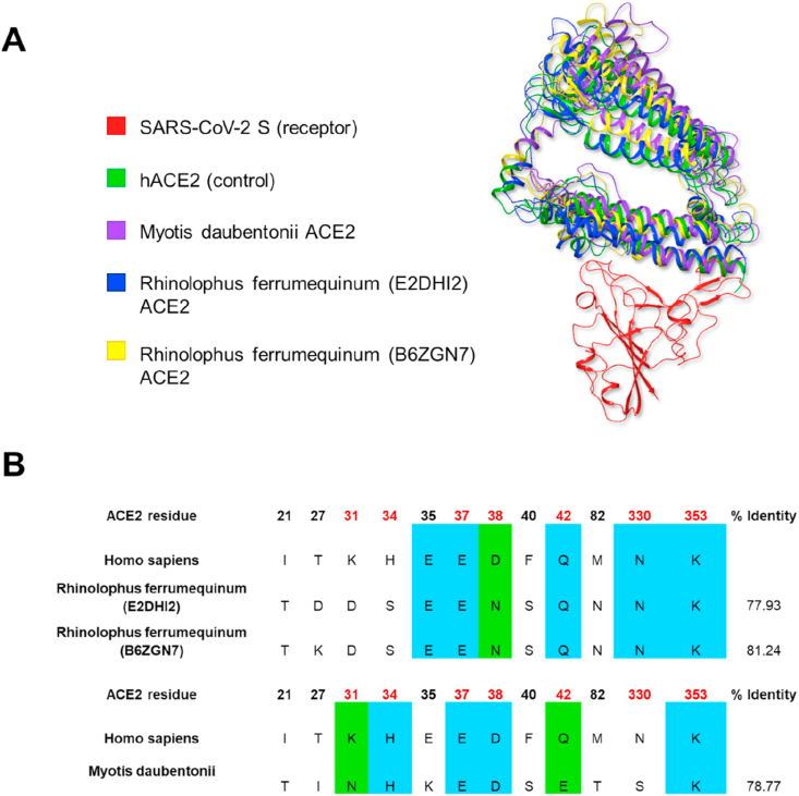 Figure 2