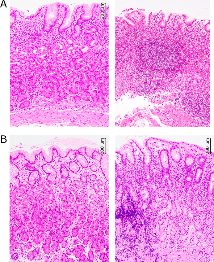 Fig. 2.