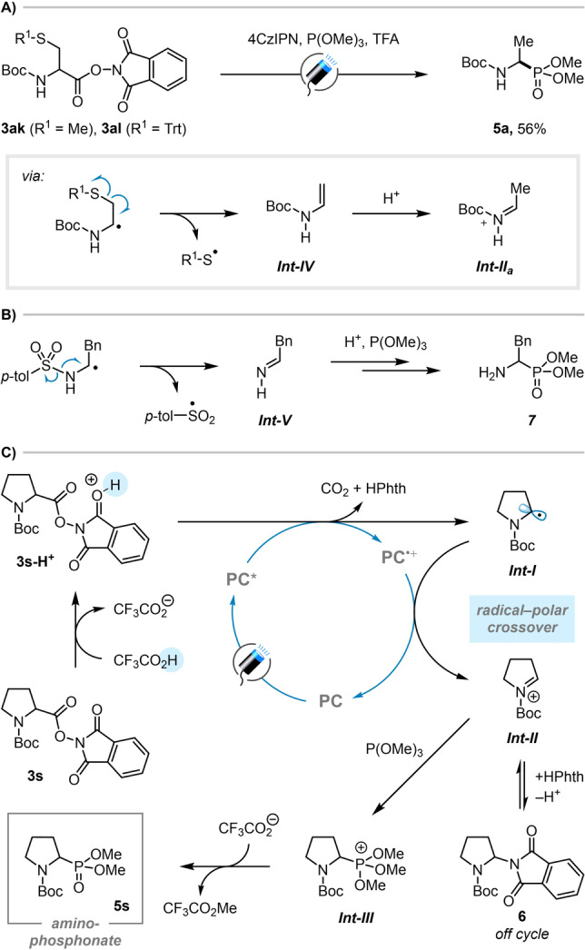 Scheme 3