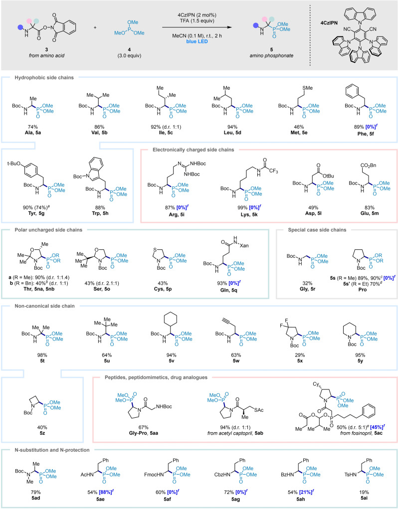 Scheme 2