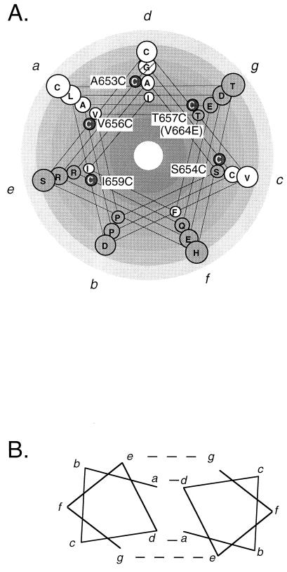 FIG. 5