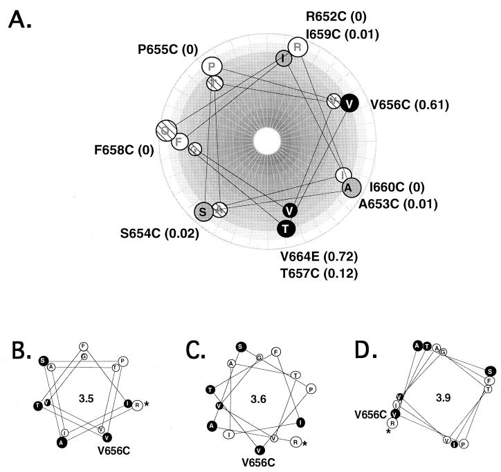 FIG. 4