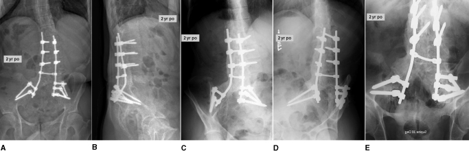 Fig. 8