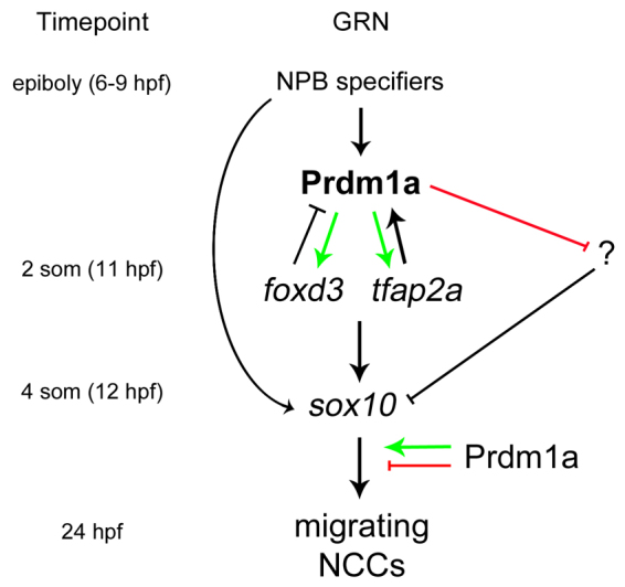 Fig. 8.