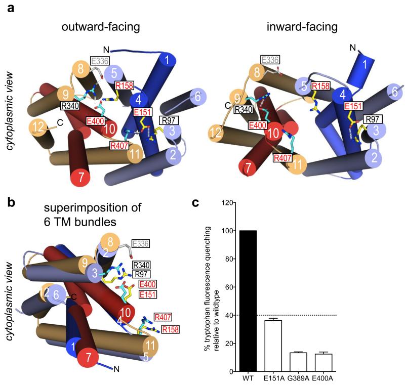 Fig. 3