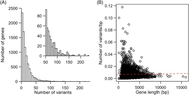 FIG 1