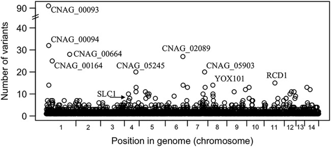 FIG 3