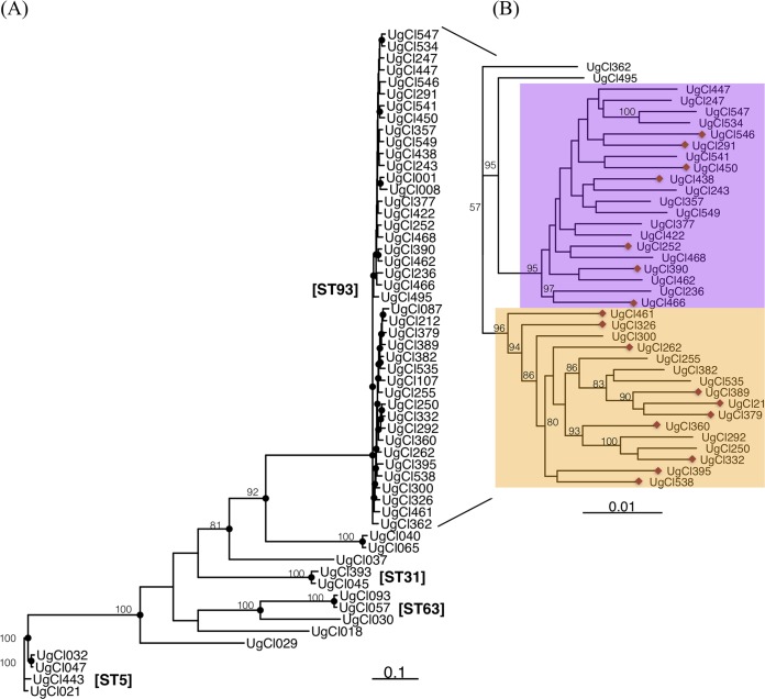 FIG 2