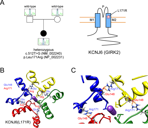 Figure 2: