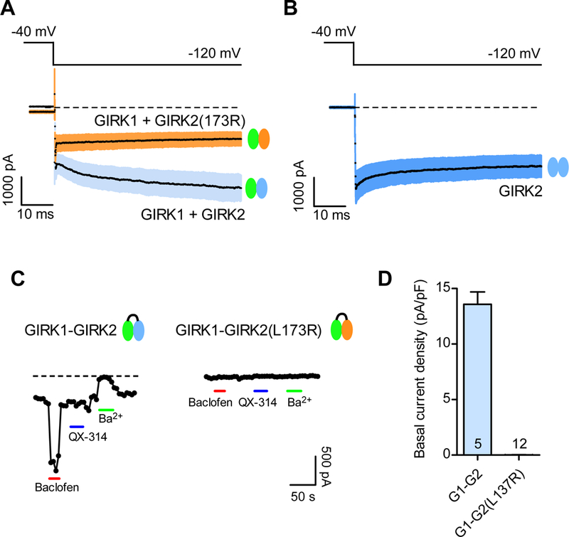 Figure 4: