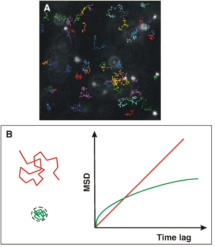 Fig. 7