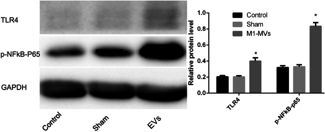 Fig. 4