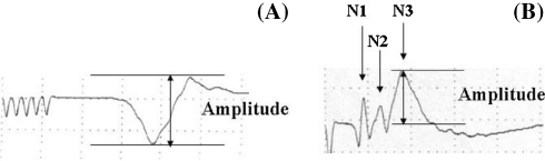 Fig. 1