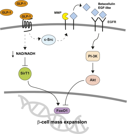 FIG. 6.