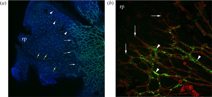 Figure 3.