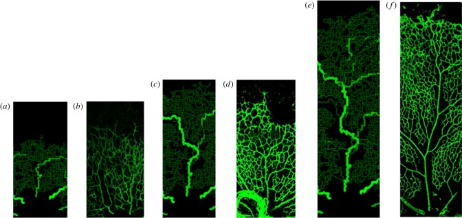 Figure 7.