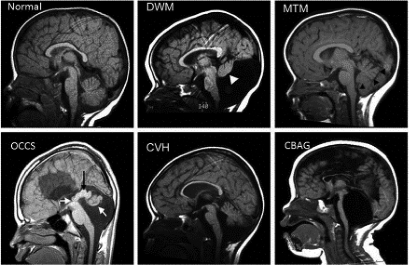 Figure 1: