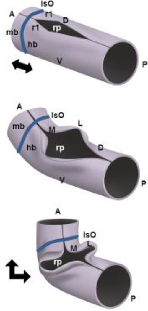 Figure 4 -