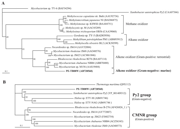 Fig. 4