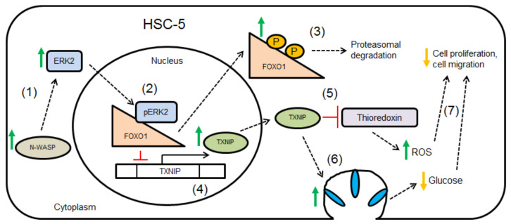 Figure 7