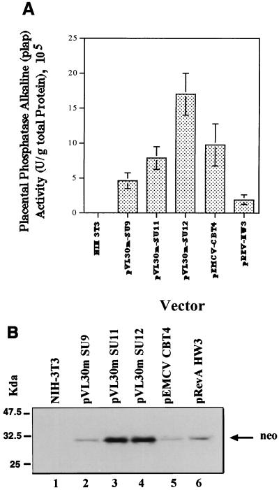 FIG. 5