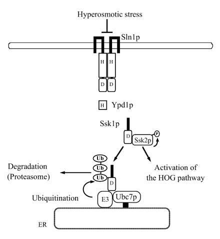 FIG. 8.