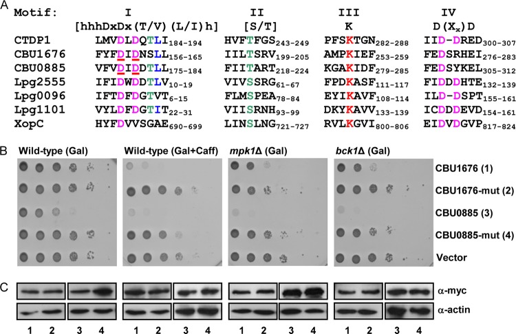 FIG 6