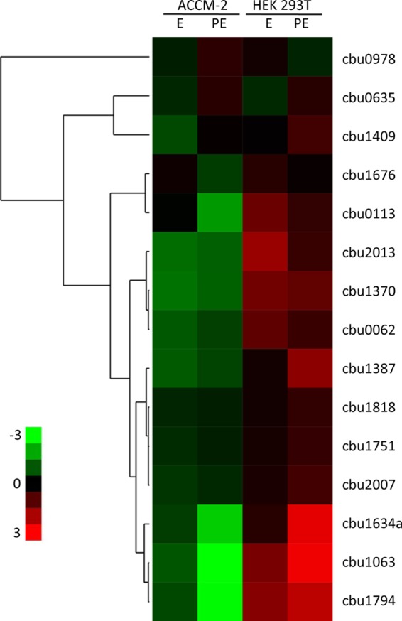 FIG 2