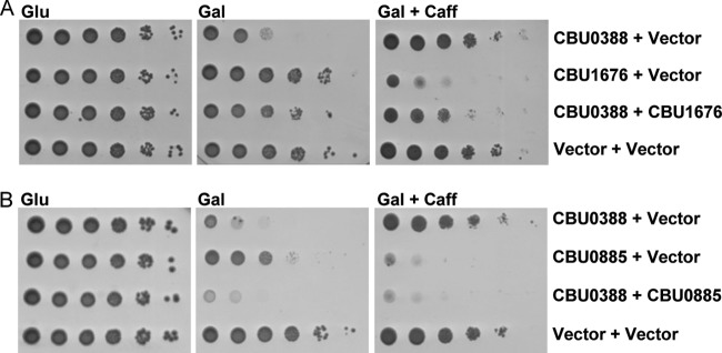 FIG 5