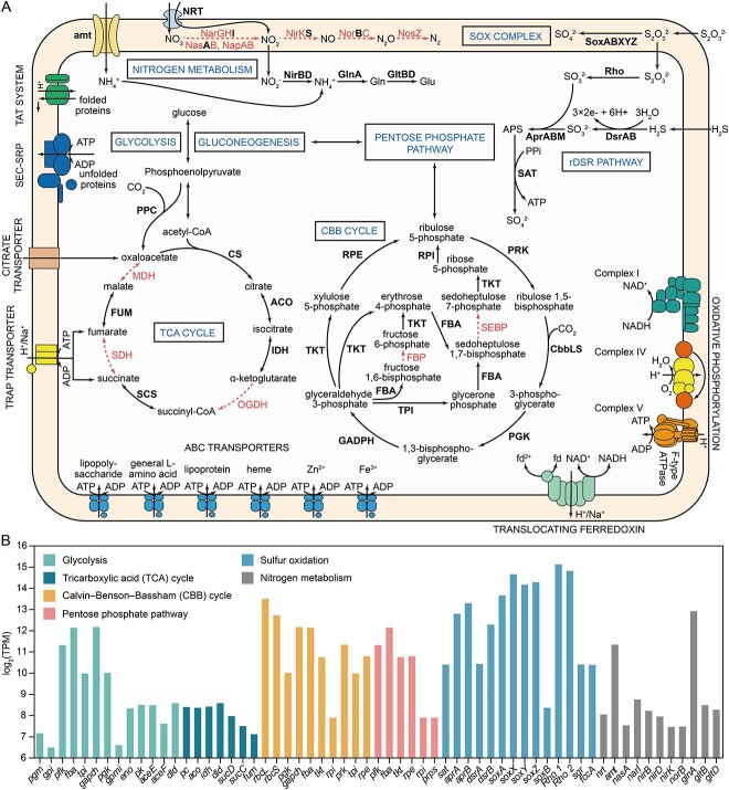 Figure 6