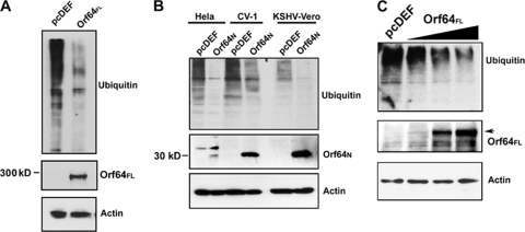 FIG. 4.