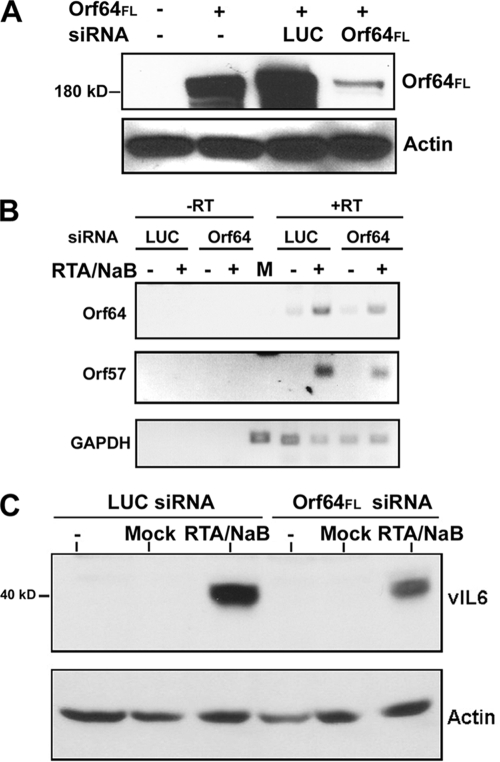 FIG. 6.