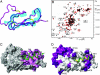 Fig. 2.