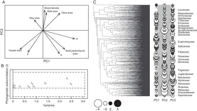 Fig. 2.