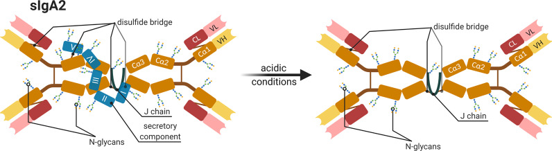 Figure 7