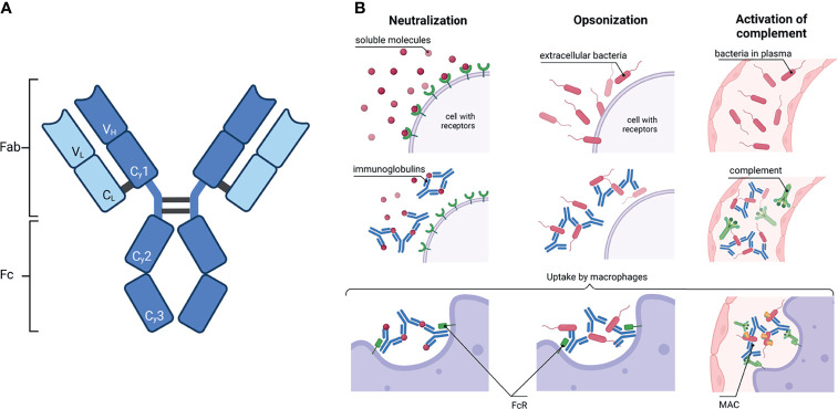 Figure 1