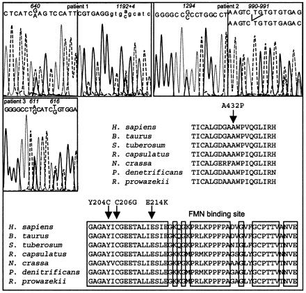 Figure  2