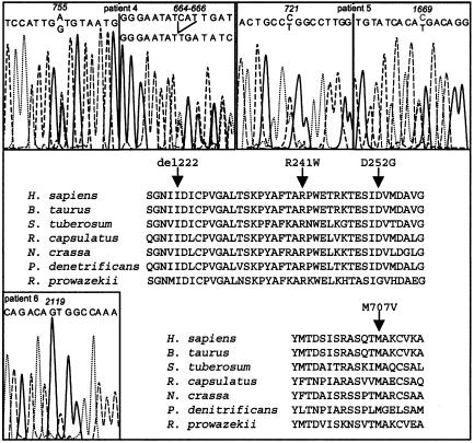 Figure  3